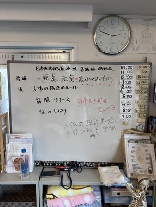 日本医武術道連盟講習会